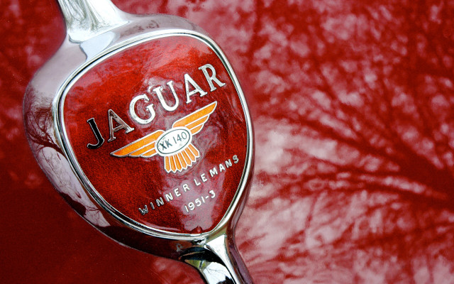 Red spoon trees red moon free wallpaper for desktop - medium preview image