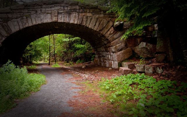 Stone bridge forest road tiltshift free wallpaper for desktop - medium preview image