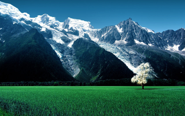Lone tree mountains blue sky free wallpaper for desktop - medium preview image