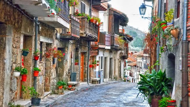 Narrow street potted plants magic free wallpaper for desktop - medium preview image