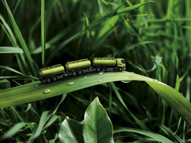 Toy train leaf grass water free wallpaper for desktop - medium preview image