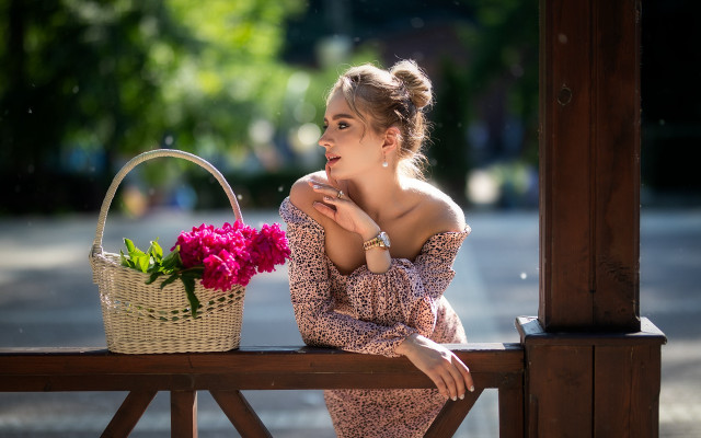 Elina karimova summer vibrancy bench free wallpaper for desktop - medium preview image