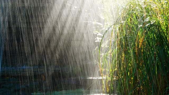 Waterfall light shining grass pond free wallpaper for desktop - medium preview image
