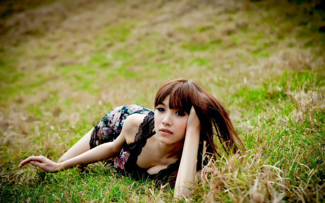 Woman grass laying bush dandelion free wallpaper for desktop - medium preview image