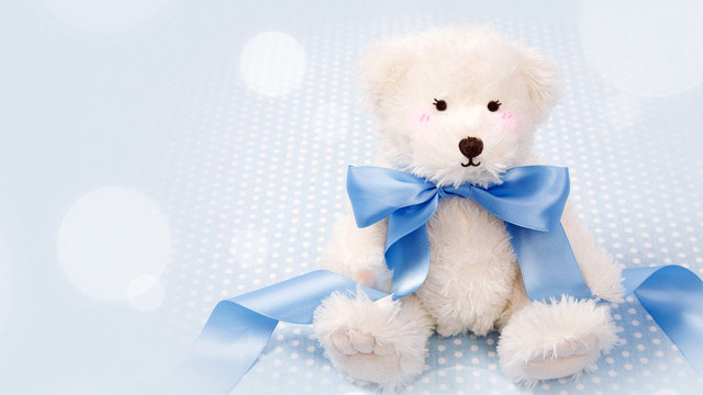 White teddy bear blue bow free wallpaper for desktop - medium preview image