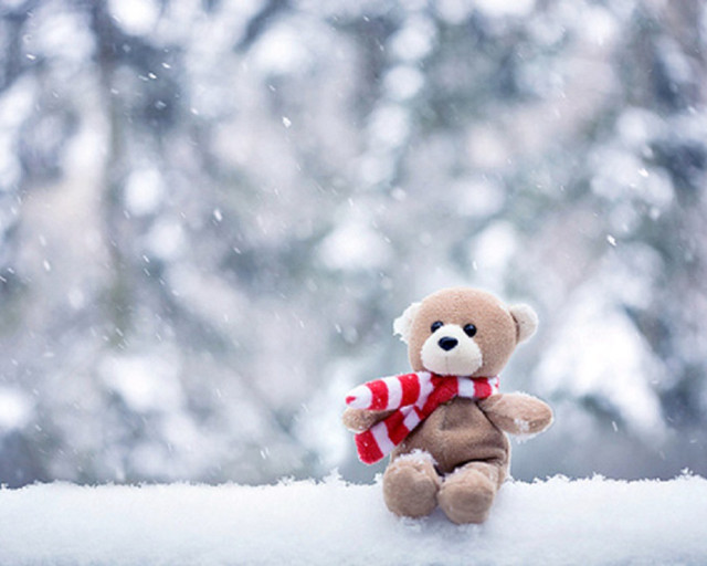 Teddy bear snow roof winter free wallpaper for desktop - medium preview image