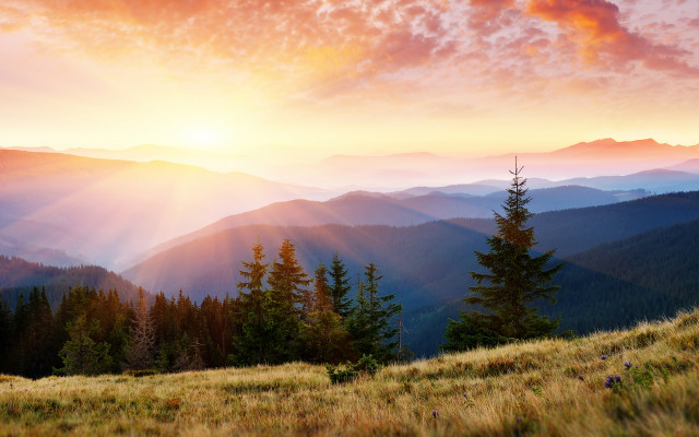 Sunset mountain hillside trees clouds free wallpaper for desktop - medium preview image