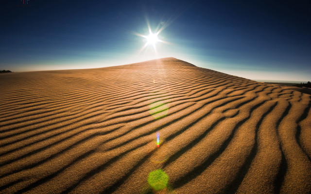 Desert sand dune sunlight lensflare free wallpaper for desktop - medium preview image