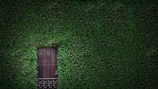 Tall wooden door lush green free wallpaper for desktop - medium preview image