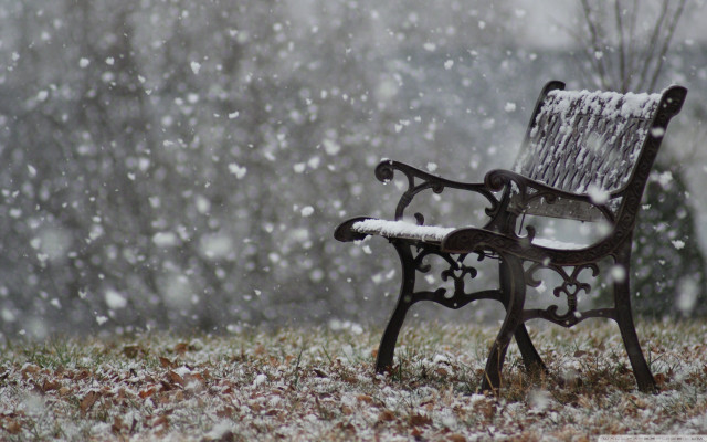 Snowy bench in field with free wallpaper for desktop - medium preview image