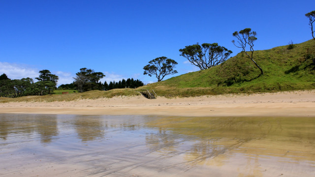 Bush hill lake beach sky free wallpaper for desktop - medium preview image