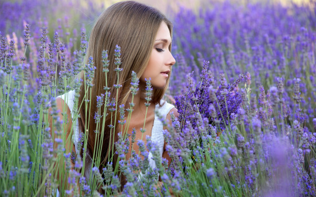 Lavender field woman looking up #2 free wallpaper for desktop - medium preview image
