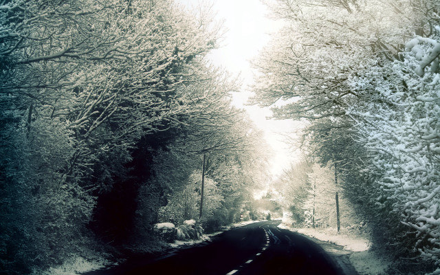 Snowy road trees car night free wallpaper for desktop - medium preview image