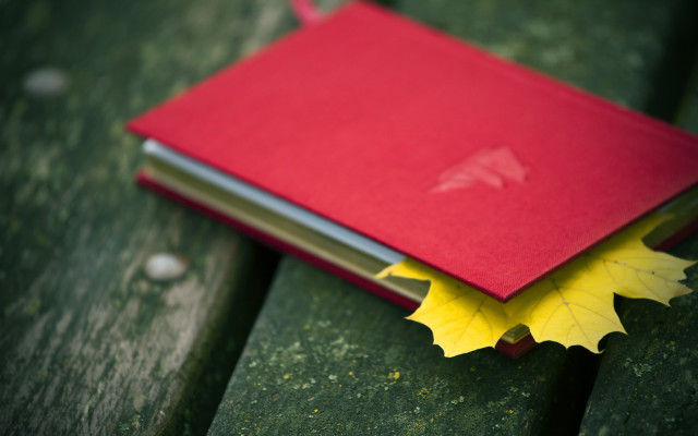 Red notebook yellow leaf park free wallpaper for desktop - medium preview image