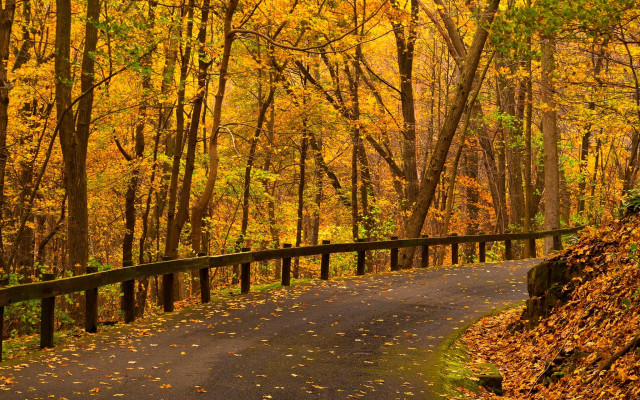 Autumn woods fence bench cityscape free wallpaper for desktop - medium preview image