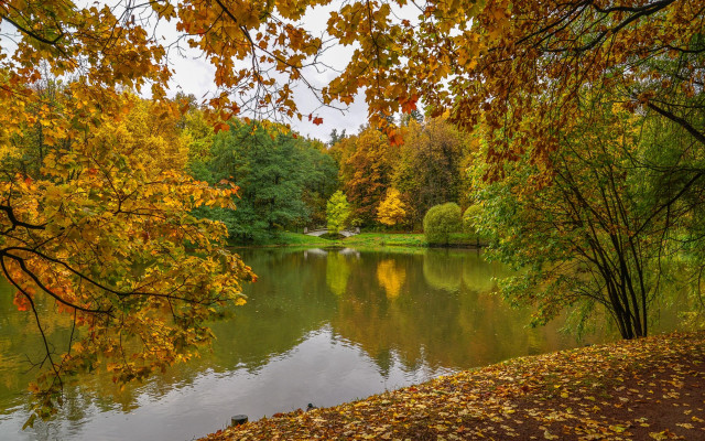 Lake trees autumn bench impressionist free wallpaper for desktop - medium preview image