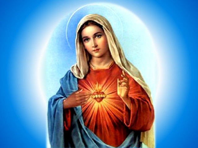 Immaculate mary holding heart gothic free wallpaper for desktop - medium preview image