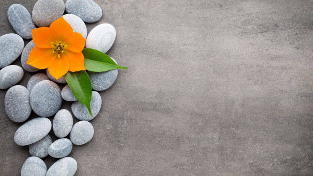 Orange flower rocks leaves minimalism free wallpaper for desktop - medium preview image