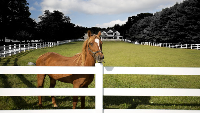 Horse fence field house trees free wallpaper for desktop - medium preview image