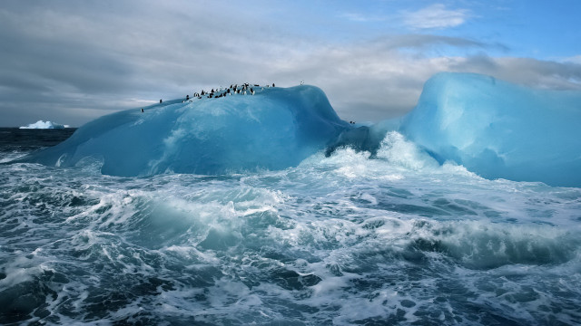 Penguins iceberg ocean boat ecological free wallpaper for desktop - medium preview image