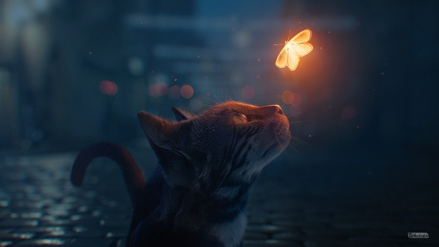 Cat butterfly night street glow free wallpaper for desktop - medium preview image
