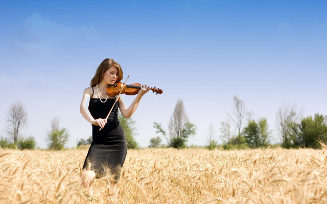Woman violin field trees sky free wallpaper for desktop - medium preview image