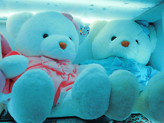 Teddy bears shelf store window free wallpaper for desktop - medium preview image