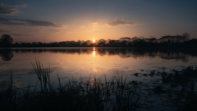 Sunset lake clouds trees grass free wallpaper for desktop - medium preview image
