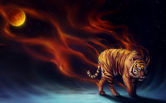 Tiger night sky fullmoon fireball free wallpaper for desktop - medium preview image