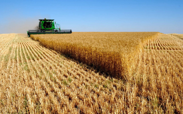 Combine grain harvest wheat tractor free wallpaper for desktop - medium preview image