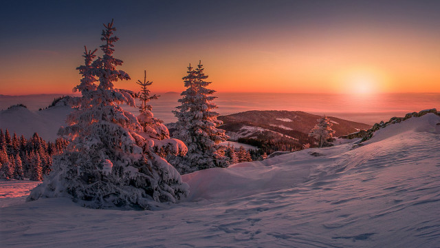 Sunset snowy mountain trees orange #2 free wallpaper for desktop - medium preview image