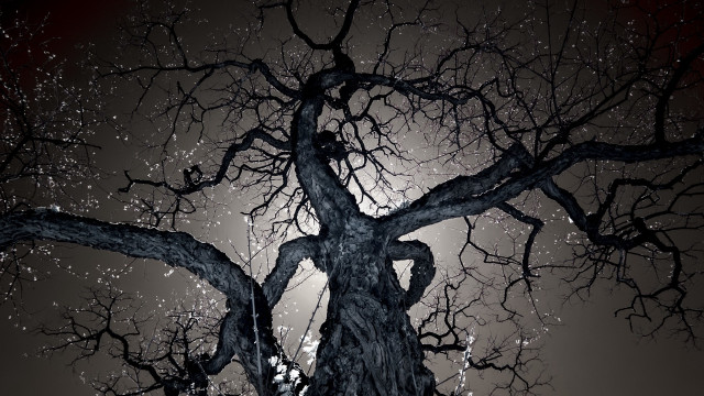 Bare tree full moon snow free wallpaper for desktop - medium preview image