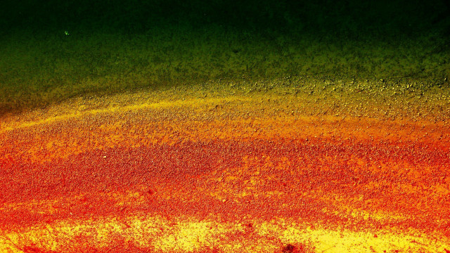 Red yellow liquid green autumn free wallpaper for desktop - medium preview image