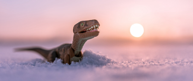 Toy dinosaur snow sunset mountain free wallpaper for desktop - medium preview image