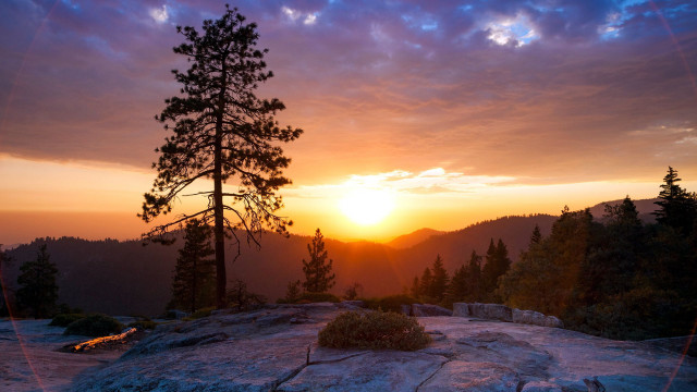 Sunset mountain lone tree rocks #2 free wallpaper for desktop - medium preview image