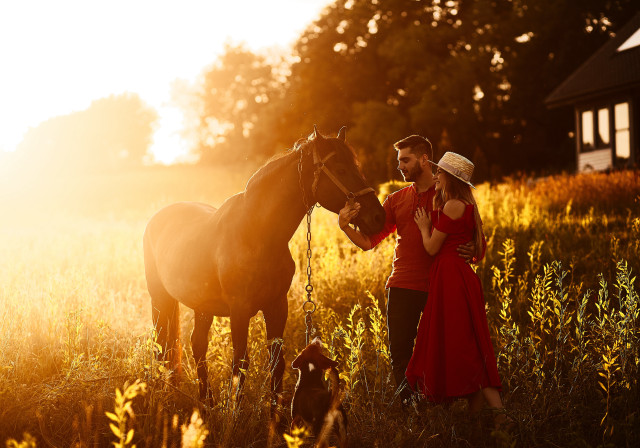 Man woman horse field sunset free wallpaper for desktop - medium preview image