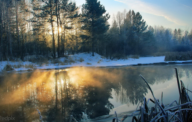 Lake snowy trees forest sunset free wallpaper for desktop - medium preview image