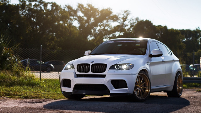 White car fence trees sun free wallpaper for desktop - medium preview image