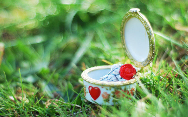 Small box red rose mirror free wallpaper for desktop - medium preview image