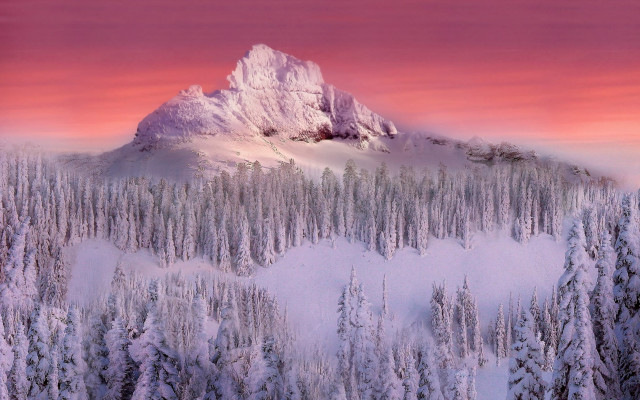 Snowy mountain pink sky trees free wallpaper for desktop - medium preview image