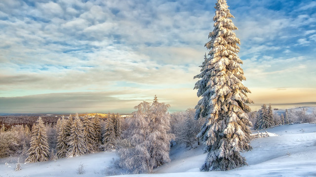Snowy tree landscape mountain lake free wallpaper for desktop - medium preview image