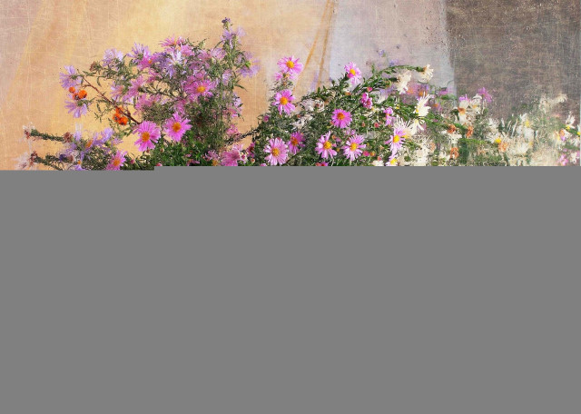 Vase flowers butterfly hudson flemish free wallpaper for desktop - medium preview image