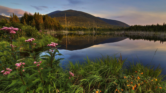Lake forest mountain flowers sunset #2 free wallpaper for desktop - medium preview image