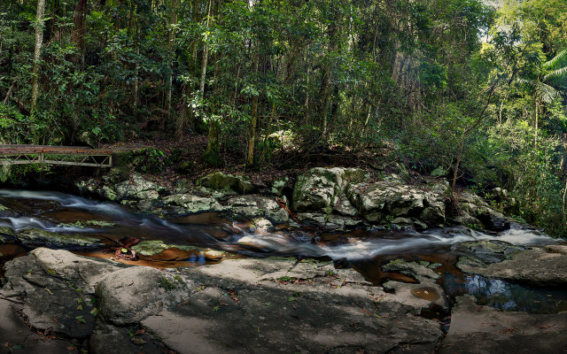 Lush green forest stream bridge #2 free wallpaper for desktop - medium preview image
