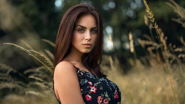 Woman tallgrass portrait blurry bokeh free wallpaper for desktop - medium preview image