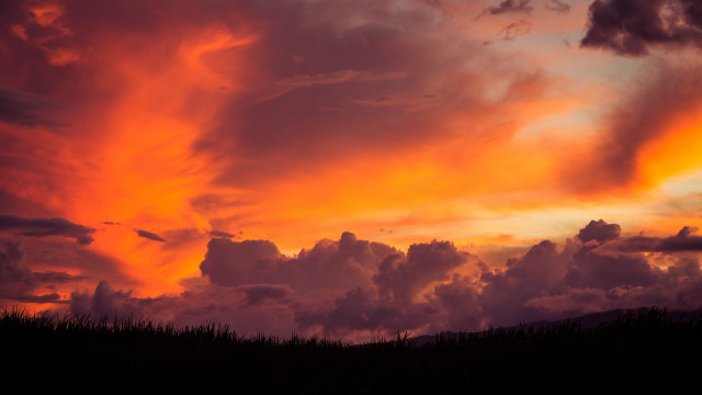 Sunset clouds horse foreground background free wallpaper for desktop - medium preview image