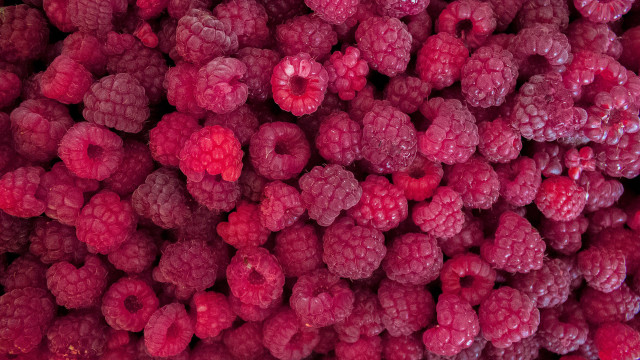 Raspberries pile macro flower rose free wallpaper for desktop - medium preview image