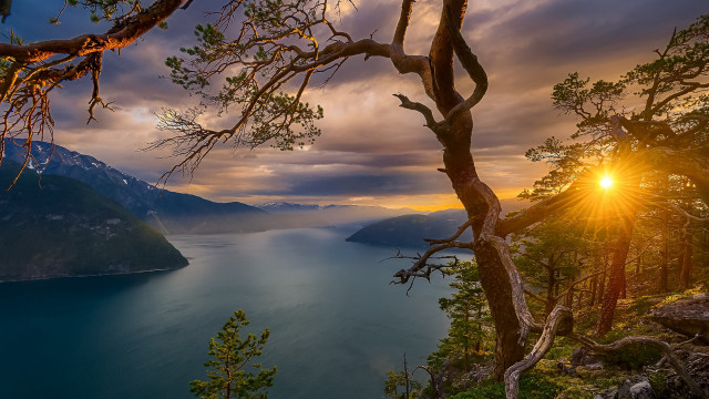 Sunset lake mountains tree branch free wallpaper for desktop - medium preview image