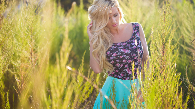 Aramenta dianthe vail impressionist field free wallpaper for desktop - medium preview image