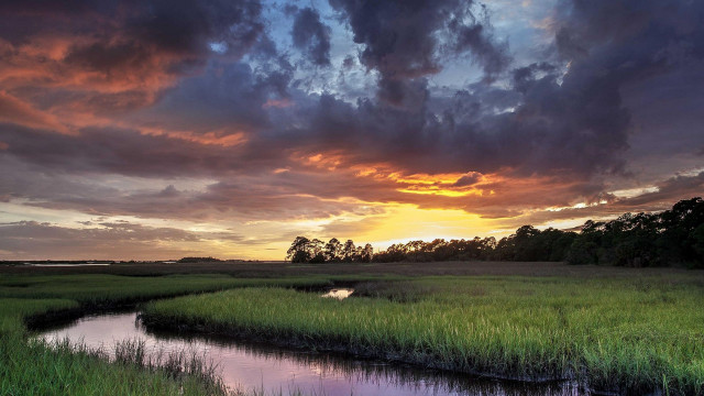 Sunset marsh stream trees cloudy free wallpaper for desktop - medium preview image